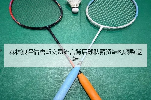 森林狼评估唐斯交易流言背后球队薪资结构调整逻辑